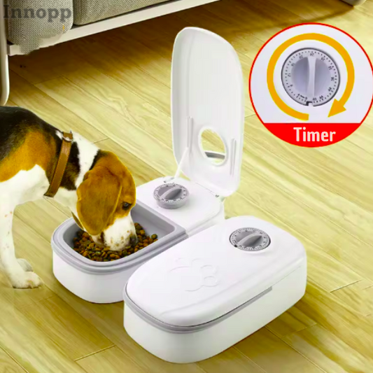 een hond die zijn lunch uit de voerbak met timer eet 