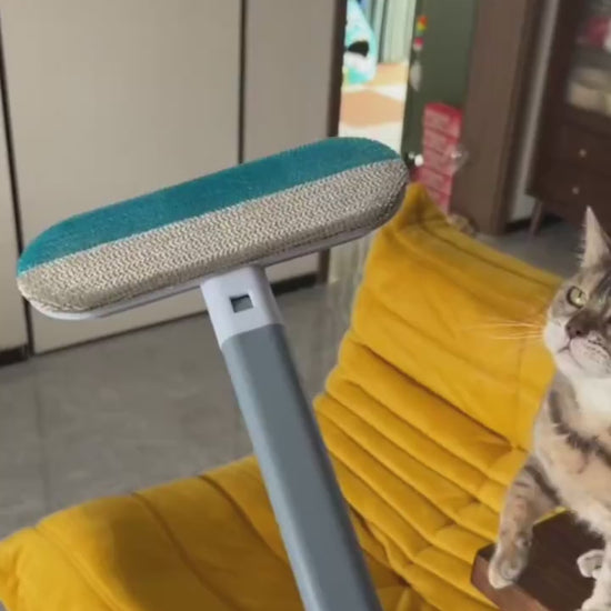 gebruiks en voorbeeld video van de beste huisdierenhaar verwijderingsborstel 