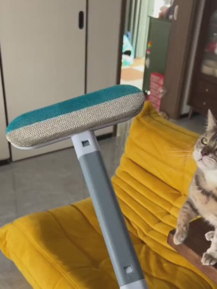 gebruiks en voorbeeld video van de beste huisdierenhaar verwijderingsborstel 